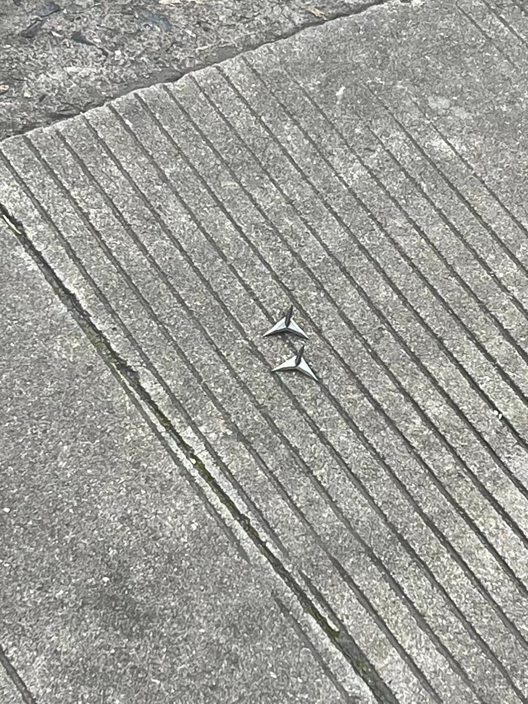IMG_5313.jpeg