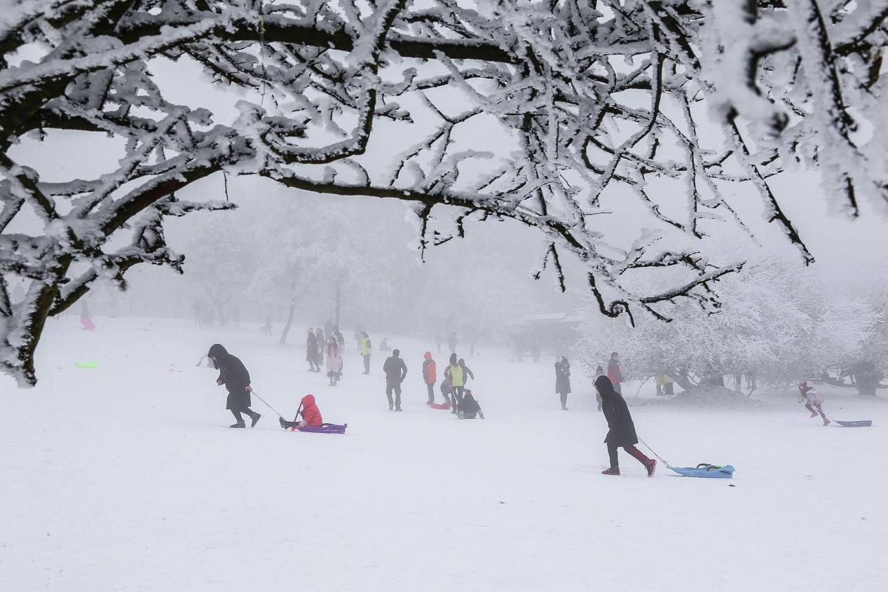 冰雪3.png
