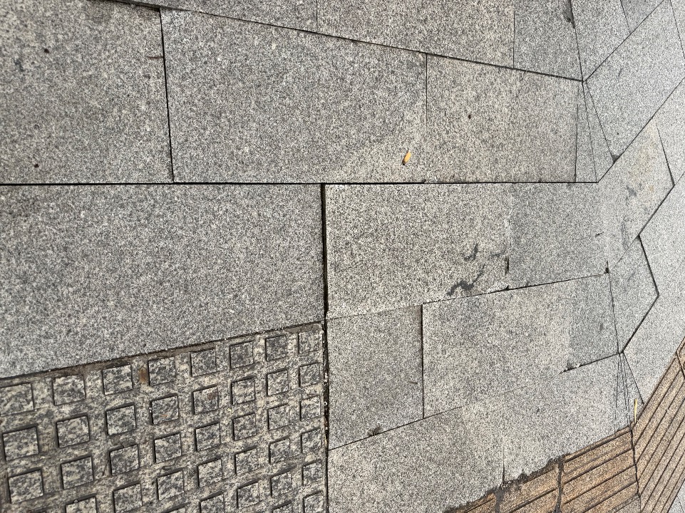 IMG_1527.jpeg
