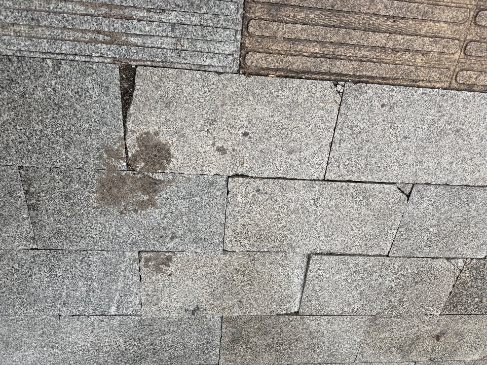 IMG_1529.jpeg
